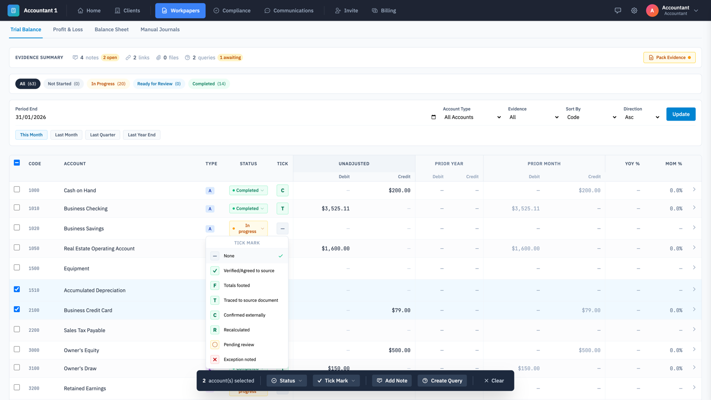 LunoFlow Workpapers Tick Marks - professional audit symbols