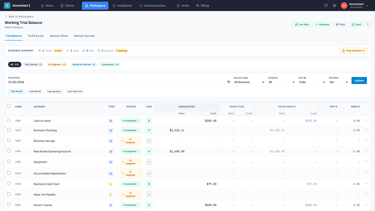 LunoFlow Accountant Portal - Workpapers Trial Balance